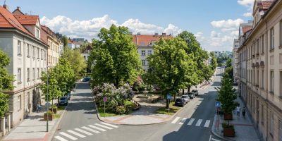 1768307535-619c79c3-32e0-45f9-a446-4ecc5a53eb2d